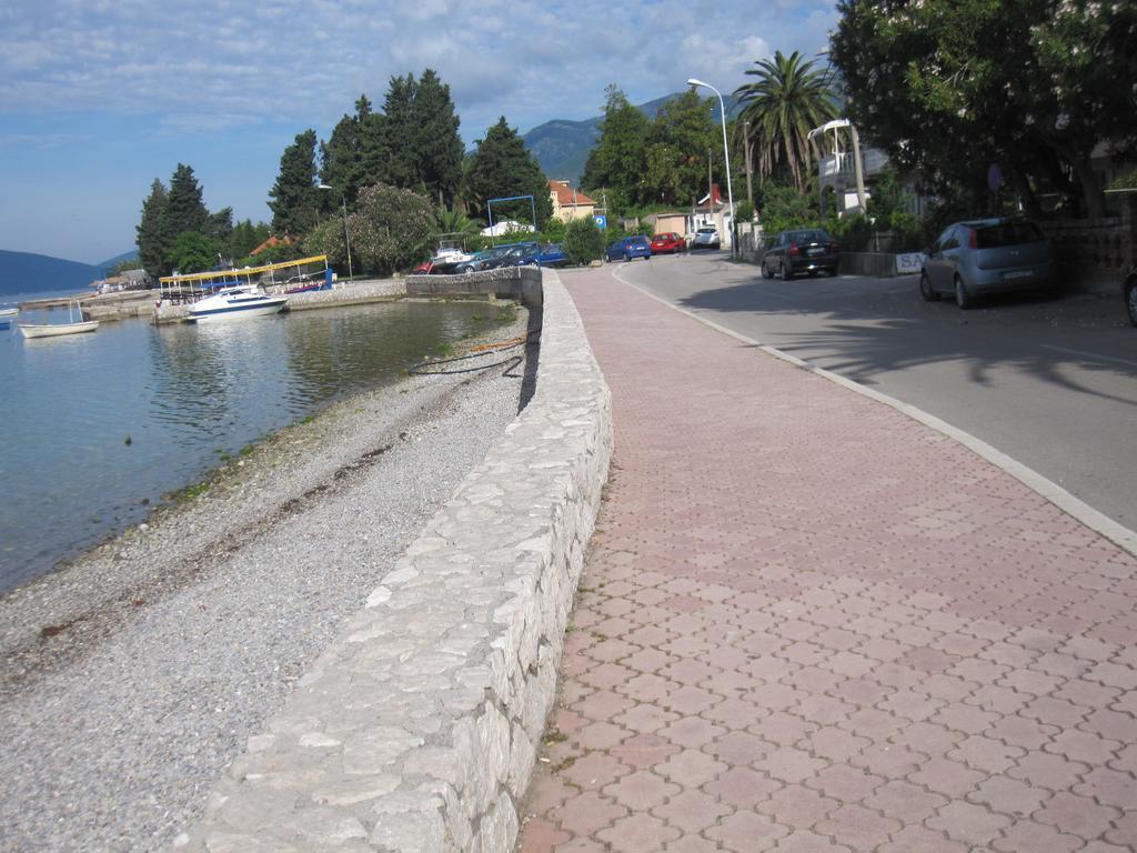 Delfin Tivat