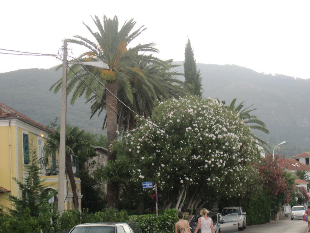 Delfin Apartment